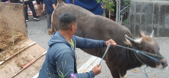 Indonesiaexpose.co.id