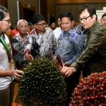 Penataan Sawit Yang Baik, diharapkan Sebagai Motor Utama Penggerak Perekonomian Sumut