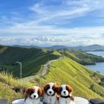 Swiss-Belhotel Jayapura  Perkenalkan Trip Destinasi Seru dengan Paket Eksklusif Jelajahi Papua 