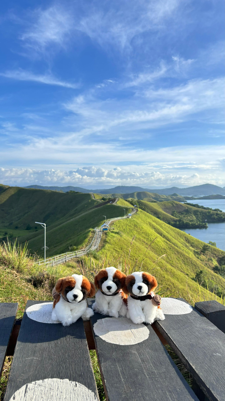 Swiss-Belhotel Jayapura  Perkenalkan Trip Destinasi Seru dengan Paket Eksklusif Jelajahi Papua 