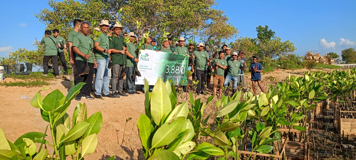 PLN UID Bali  Tanam 3.880 pohon Mangrove di Pulau Pudut