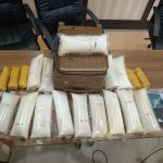 Karantina Bali  dan  BC  Gagalkan Penyelundupan  Benih  Lobster  Senilai Rp.3,1 Milyar