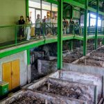 Pentingnya Pengelolaan Sampah di Kawasan Monkey Forest untuk Pariwisata Berkelanjutan