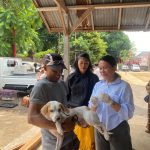 Distan Gelar Weekend Dog Festival Serangkaian HUT ke-237 Kota Denpasar.