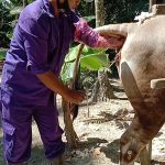 Ubaidillah Mantri Kesehatan Hewan Konawe :  Kedepankan Transparansi di Lembaganya