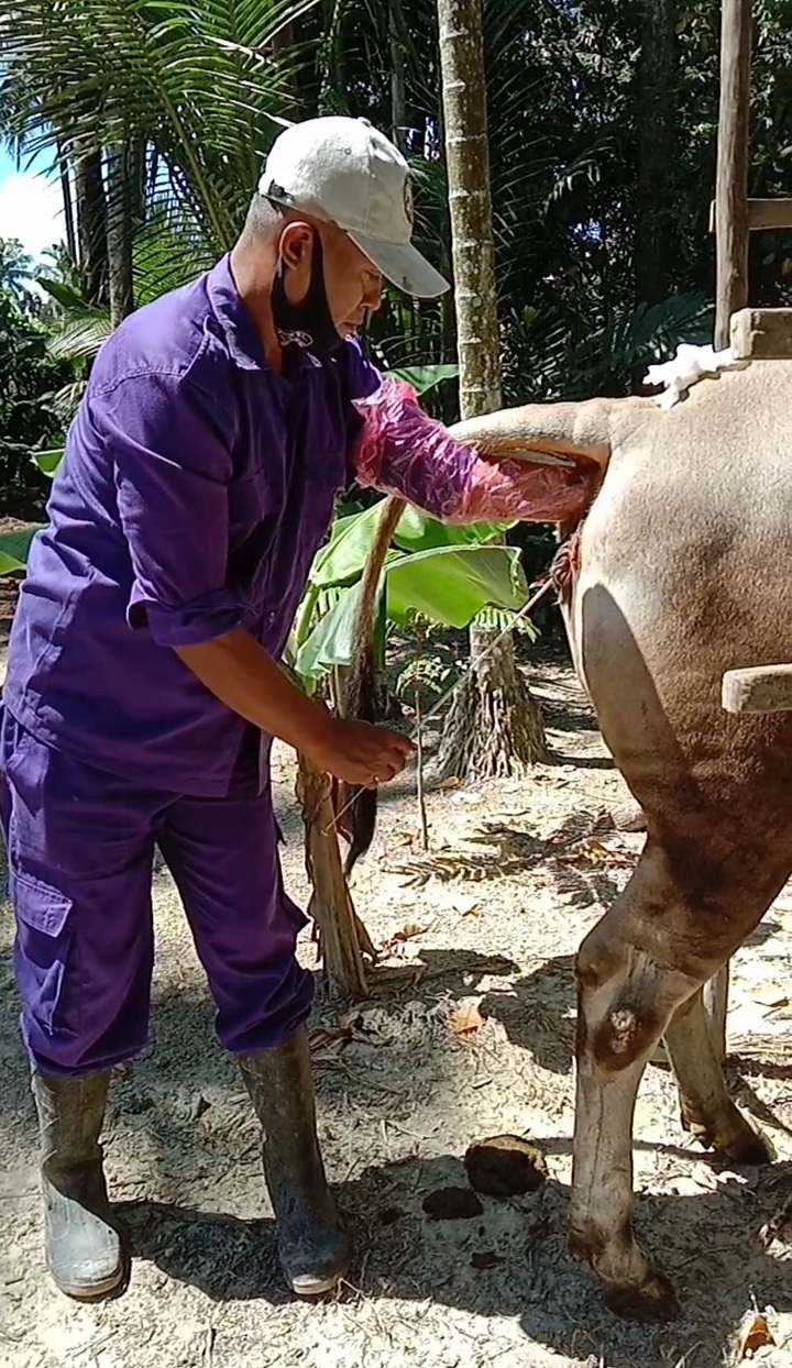 Ubaidillah Mantri Kesehatan Hewan Konawe :  Kedepankan Transparansi di Lembaganya