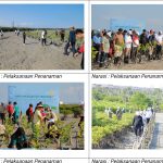 Penanaman  Mangrove  Dalam  Rangka  Peringatan  Mangrove  Sedunia, Provinsi  Bali