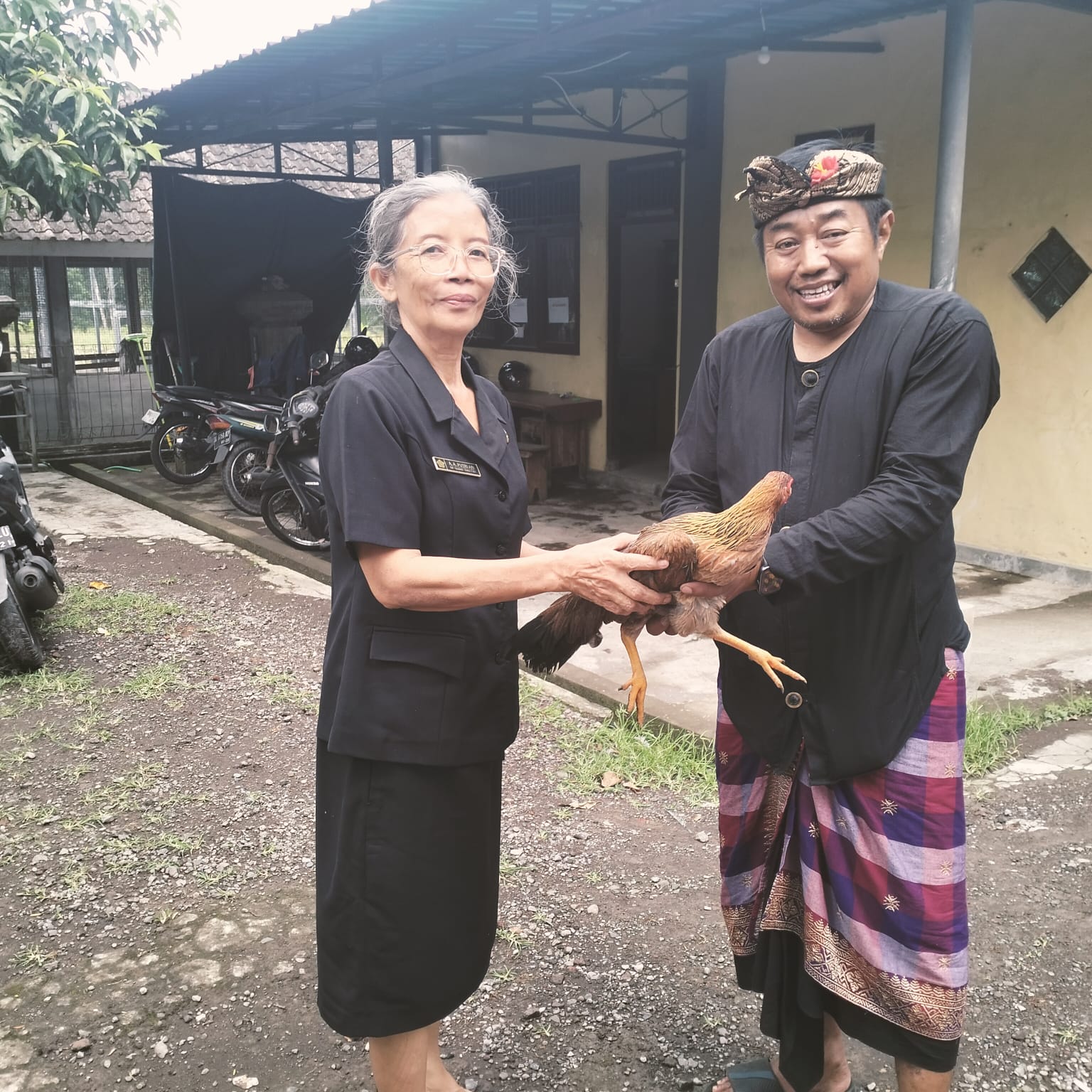 Desa Adat di Gianyar Sambut Positif Kebijakan Pemkab Gianyar Memuliabiakan Ayam Bali