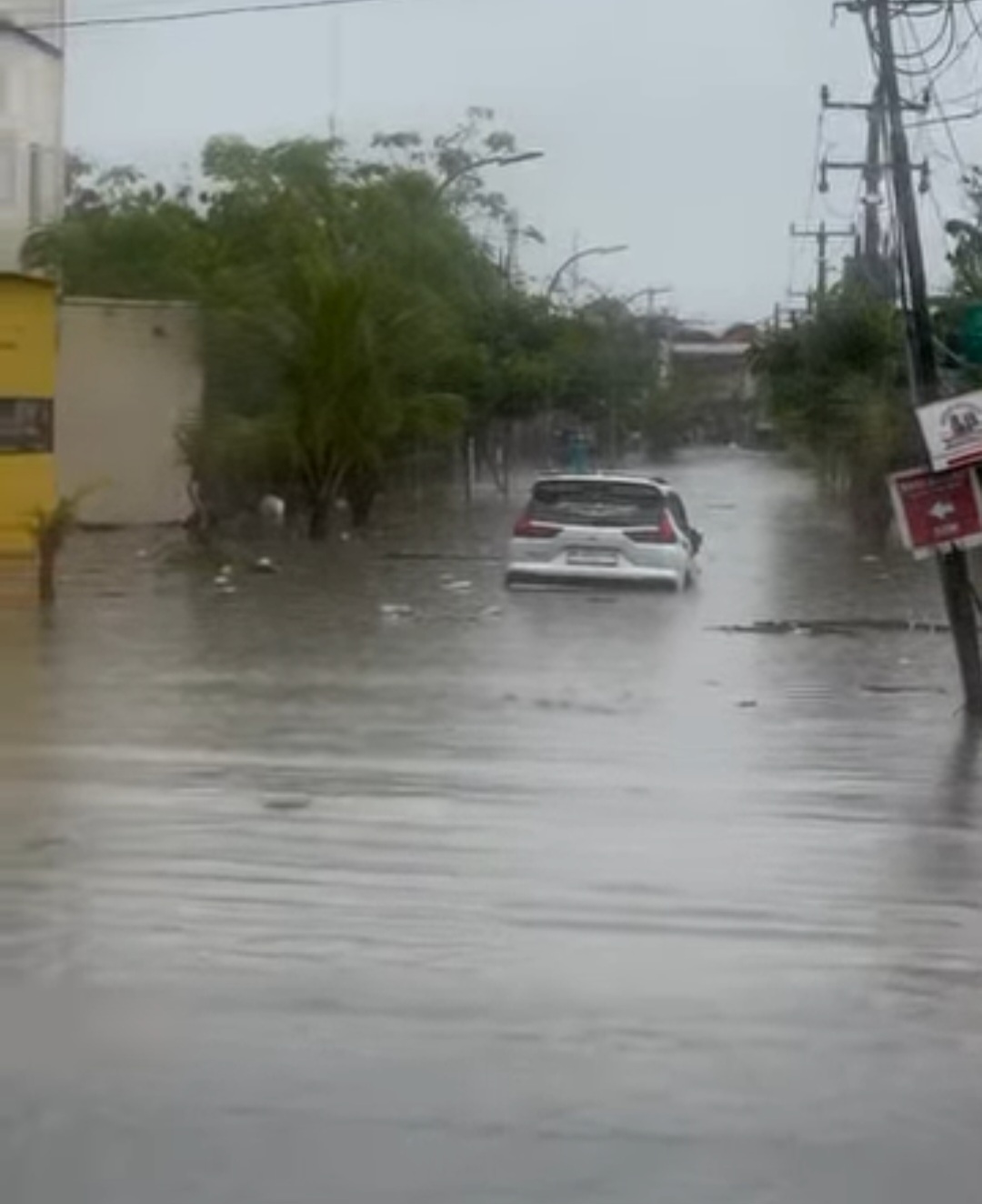 Prof Salain: Alih Fungsi Lahan dan Tata Ruang Buruk Jadi Salah Satu Pemicu Banjir Bali