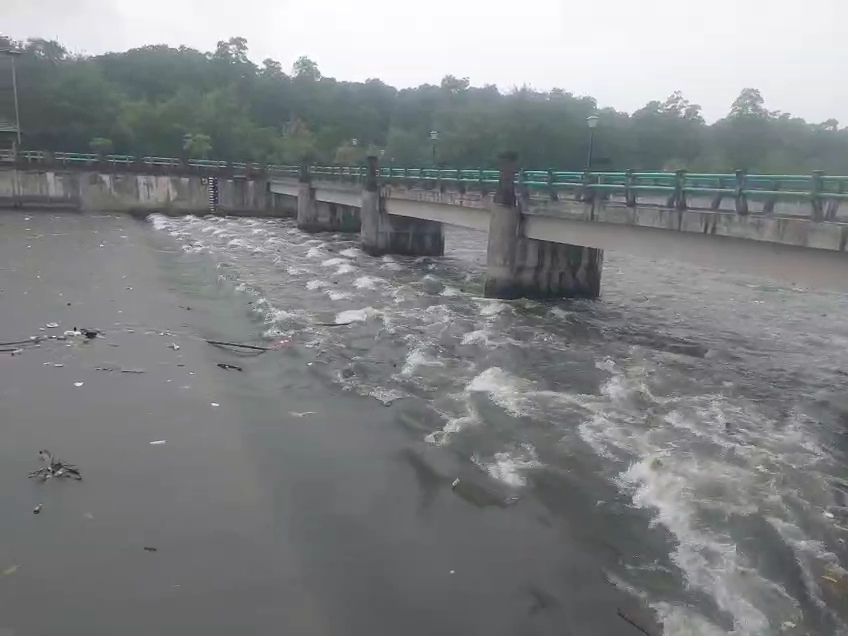 Muara Tukad Mati Meluap, Air Deras ke Laut : DPRD, Warga, Akademisi Angkat Bicara