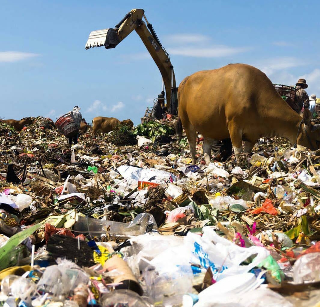 Atasi Darurat Sampah, RI Kebut 33 Proyek PLTSa