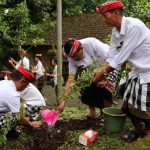 Maknai HUT ke-532 Kota Singasana, Pemkab Tabanan Wujudkan Harmoni Lewat Persembahyangan dan Pelestarian Alam