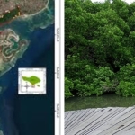 I Nyoman Parta, Anggota DPR RI :  Jika Benar ada 106 SHM di Kawasan Mangrove Tahura Ngurah Rai, harus dibatalkan