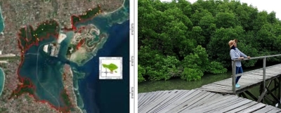 I Nyoman Parta, Anggota DPR RI :  Jika Benar ada 106 SHM di Kawasan Mangrove Tahura Ngurah Rai, harus dibatalkan