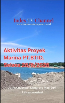 UU Perlindungan Mangrove Mati Suri  Lawan Investasi  