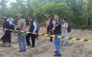 Kontras  Tajam  ! Gubenur –Kejati  Tanam   Mangrove , PT. BTID  Justru  Babat  Mangrove 