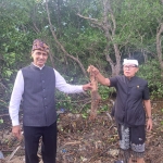 Mangrove   Di Babat !  Pansus TRAP  DPRD BALI Meledak 