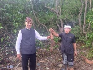 Mangrove   Di Babat !  Pansus TRAP  DPRD BALI Meledak 