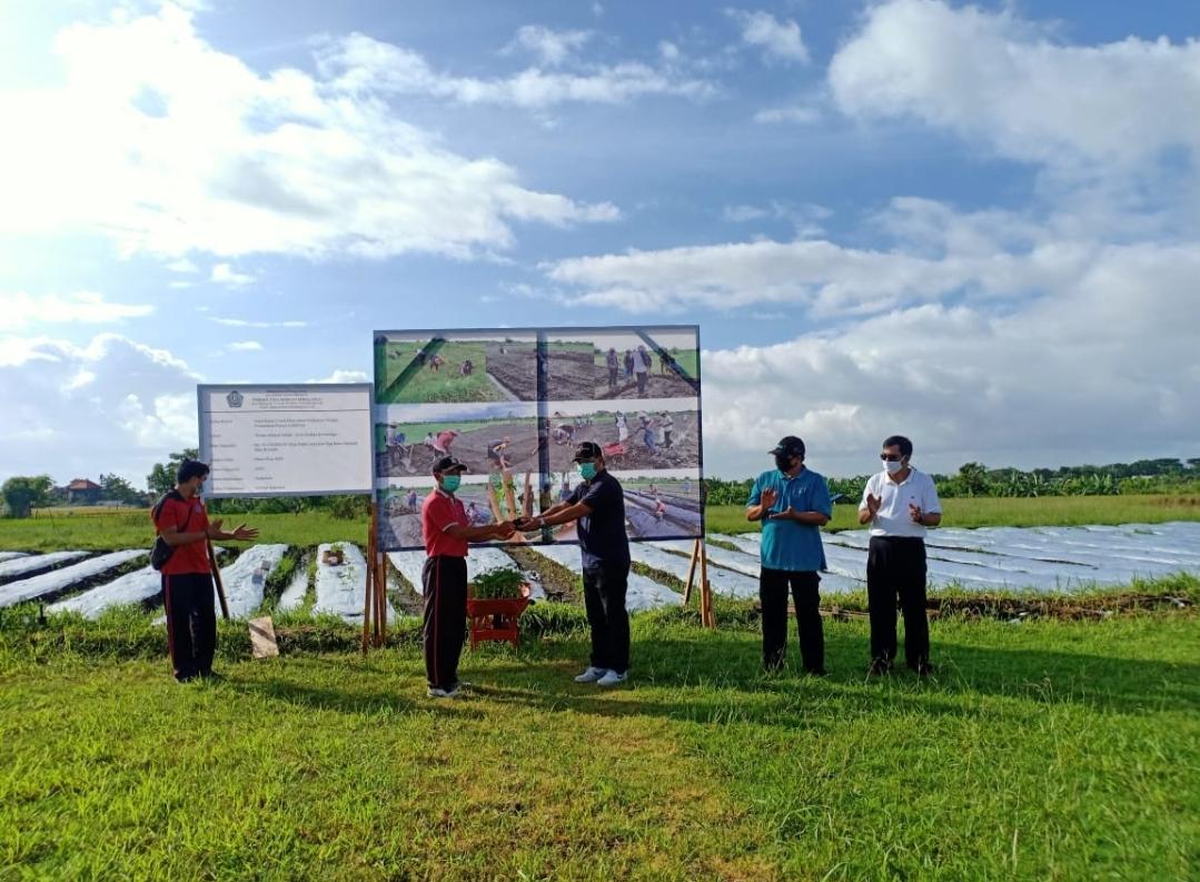 Bantu Menambah Pendapatan Masyarakat Masa Pandemi, Kesiman Kertalangu Luncurkan Program Padat Karya Tunai Secara Swakelola