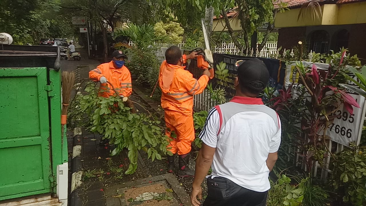 Tim Respon Cepat Desa Sumerta Kelod Evakuasi Pohon Tumbang