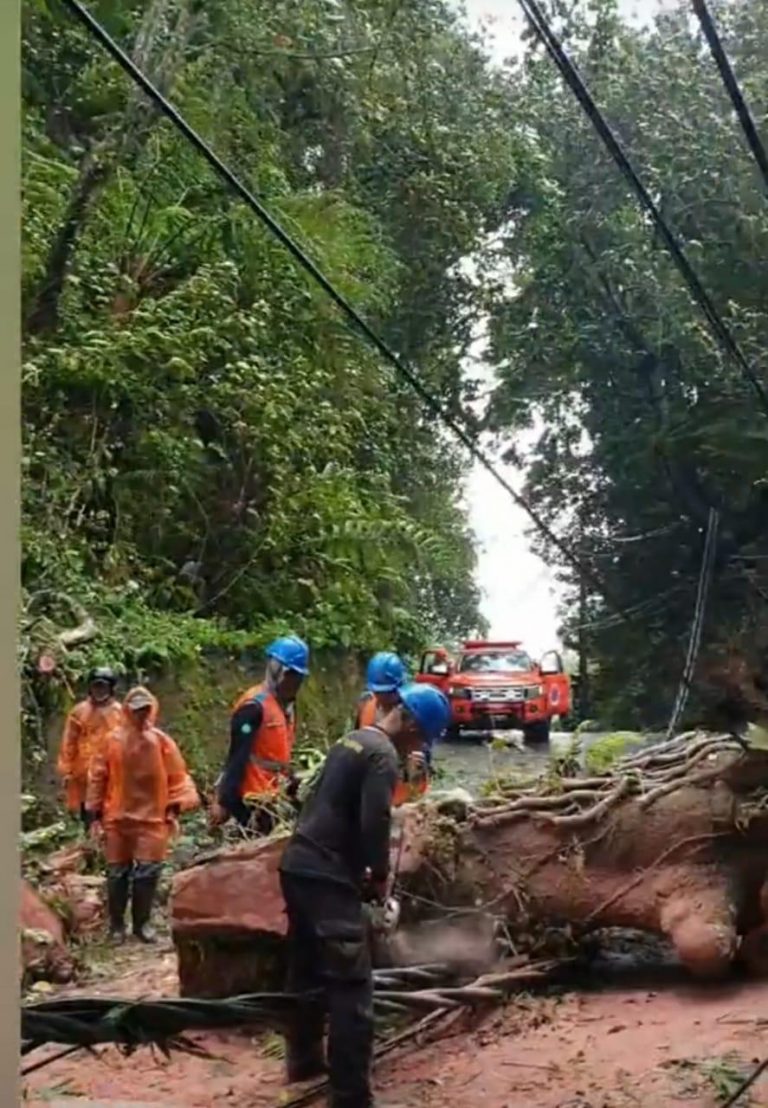 PLN UID BALI SIAGA HADAPI BENCANA ALAM – Indonesia Expose
