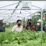 Dorong Efisiensi Menteri BUMN Erick Thohir Dukung Program Electrifying Agricultura PLN