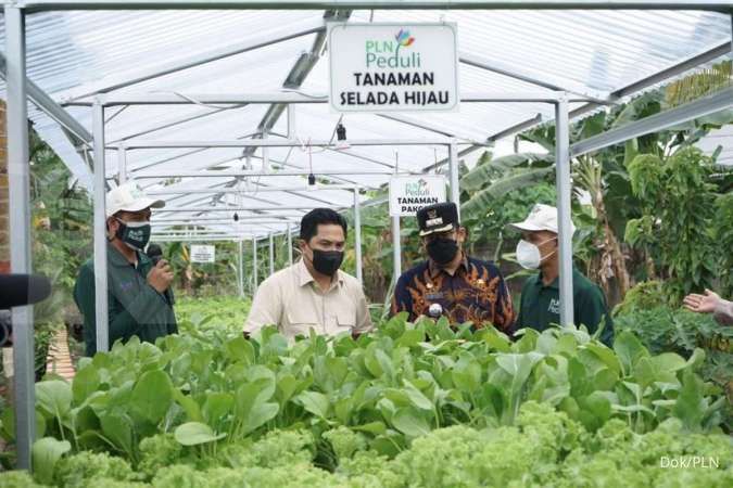 Dorong Efisiensi Menteri BUMN Erick Thohir Dukung Program Electrifying Agricultura PLN