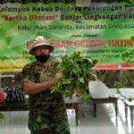 Kelurahan Sumerta Laksanakaan Giat Minggu Bersih Serta Panen Buah Dan Sayuran di Lingkungan Ketapian Kaja