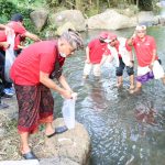 Sambut  HUT Bangli Ke 818 , Pemkab Bangli Tebar Ribuan Benih Ikan di Perairan Sungai Sangsang