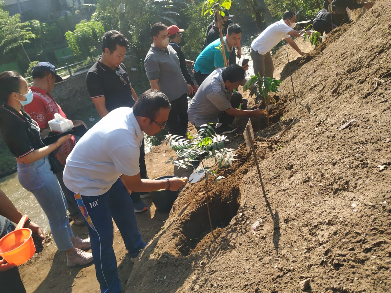 Hijaukan Bantaran Tukad Badung, Desa Dauh Puri Kaja Tanam Pohon Perindang