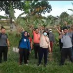 Distan Denpasar Panen Bawang Merah di Subak Sembung