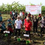 Tekan Inflasi, Walikota Jaya Negara Tanam Cabai Bantuan BI Di Subak Lungatad.