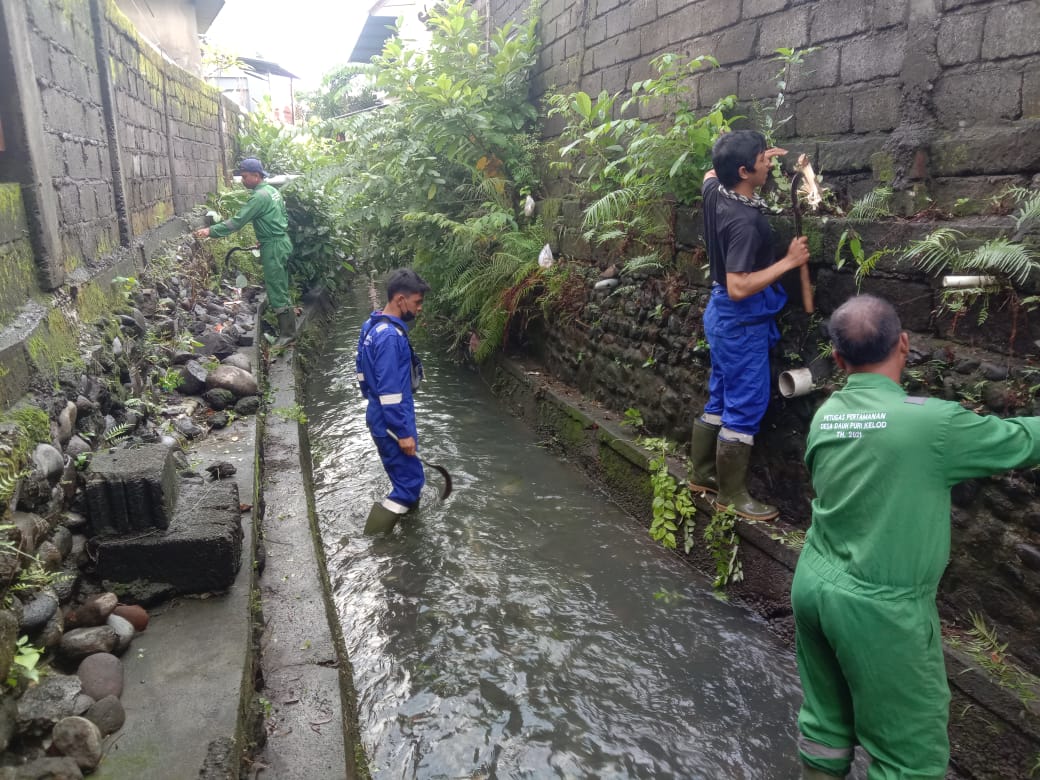 Jaga Kebersihan Lingkungan serta Antisipasi Banjir, Seluruh Desa/Kelurahan di Kota Denpasar Serentak Bersihkan Got dan Gorong-Gorong