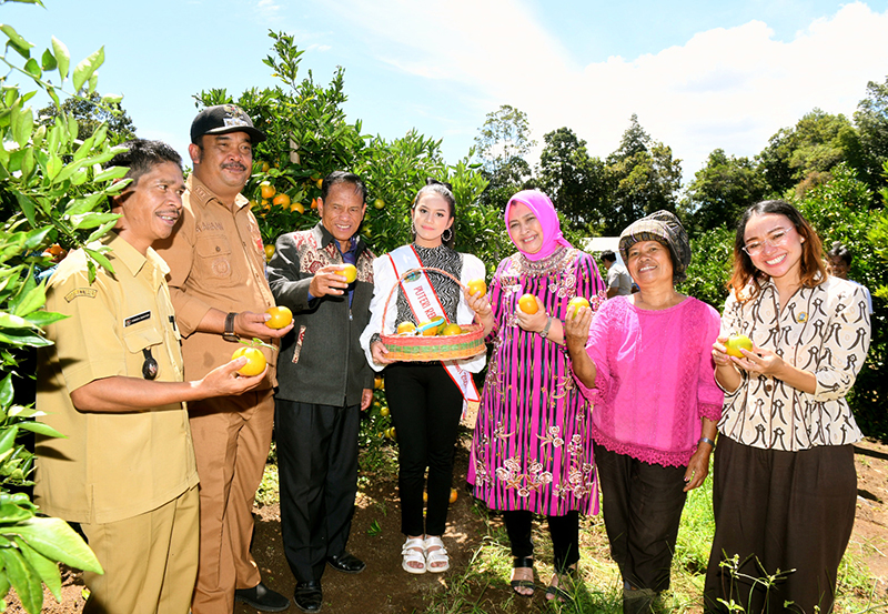 Panen Bawang dan Jeruk di Humbahas, Nawal Ajak Masyarakat Jaga Ketahanan Pangan