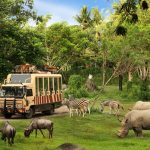 Taman Safari Bali Tawarkan Petualangan Penuh Keceriaan dengan Promo Menarik