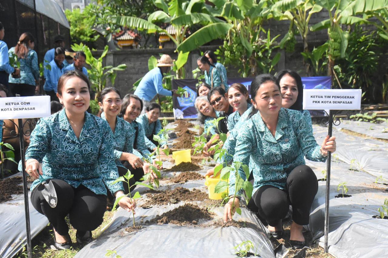 Lakukan Tanam Cabai Serentak, Ketua TP.PKK Kota Denpasar Dukung Penurunan Inflasi di Kota Denpasar